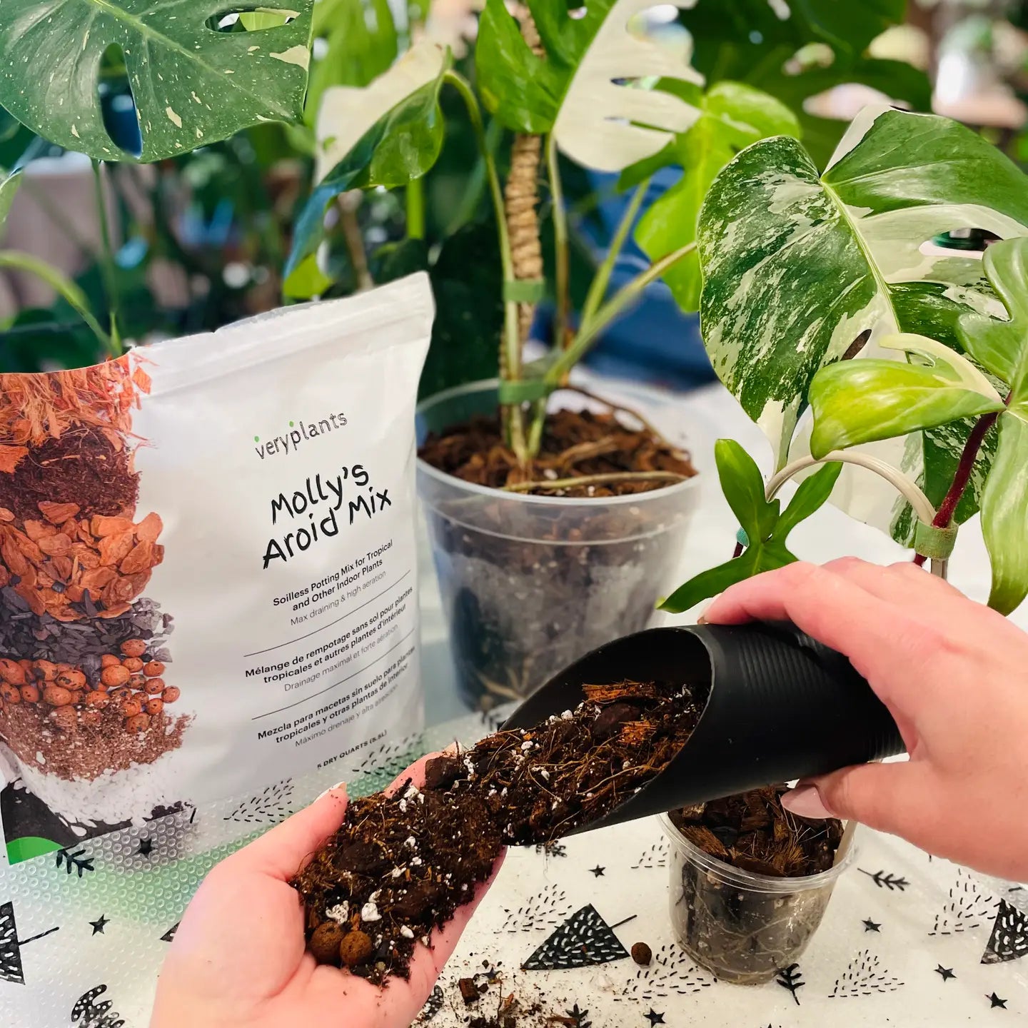 Molly's Aroid Mix - Premium Chunky Soilless Potting Mix for Healthy Roots & Fast Drainage