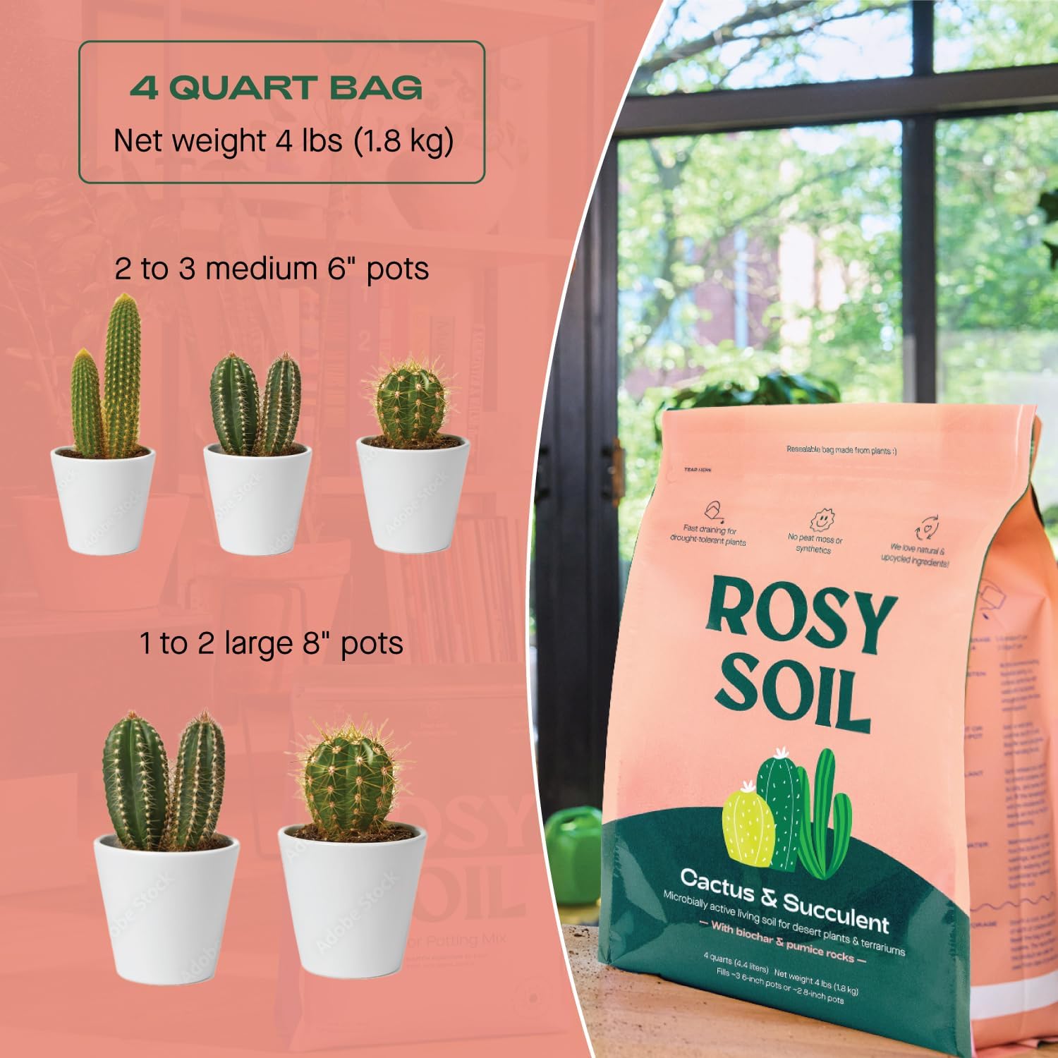 Fast-Draining Cactus & Succulent Potting Mix from Rosy Soil - Sand, Pumice, Mycorrhizae & Biochar for Vibrant Growth & Bigger Blooms