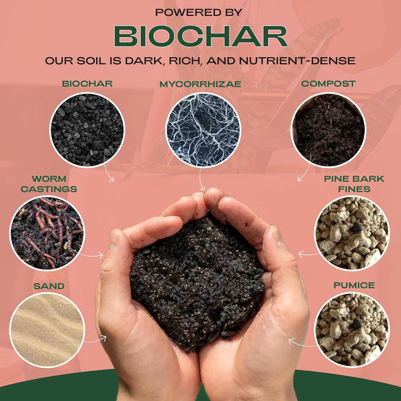 Fast-Draining Cactus & Succulent Potting Mix from Rosy Soil - Sand, Pumice, Mycorrhizae & Biochar for Vibrant Growth & Bigger Blooms