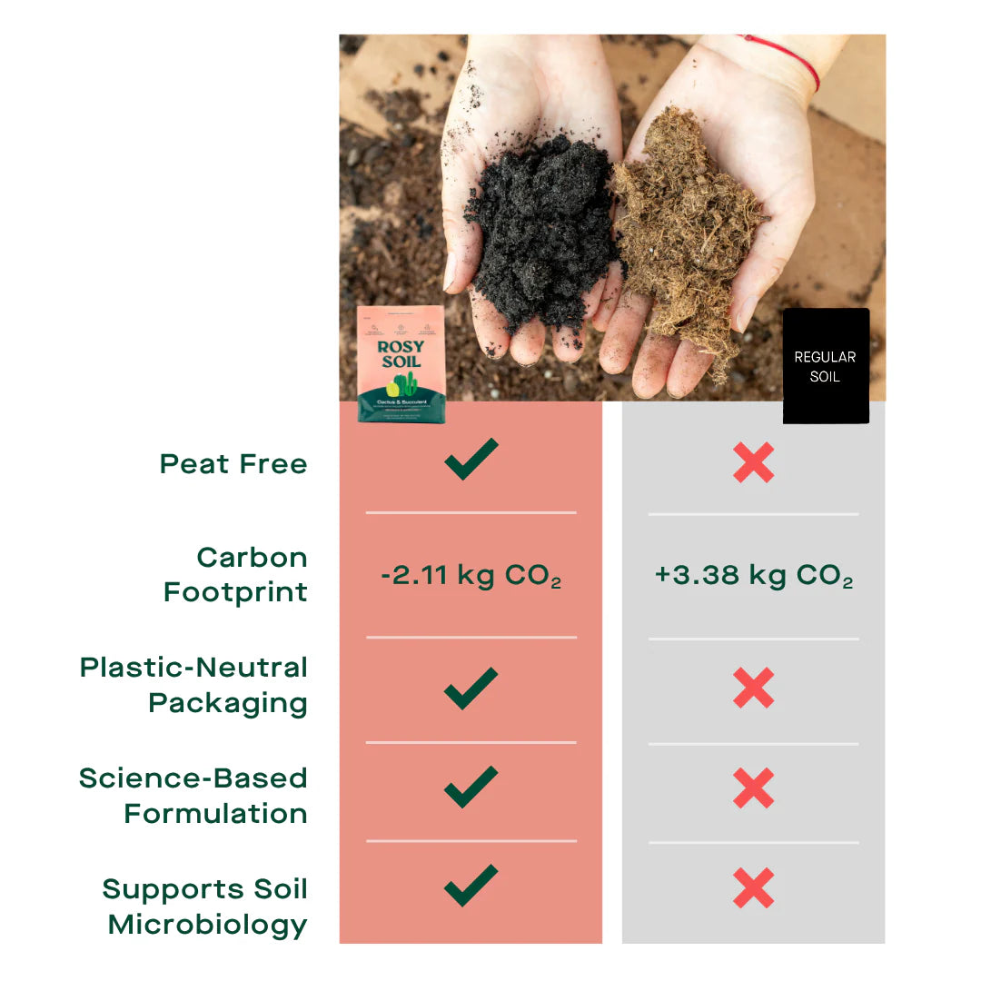 Fast-Draining Cactus & Succulent Potting Mix from Rosy Soil - Sand, Pumice, Mycorrhizae & Biochar for Vibrant Growth & Bigger Blooms