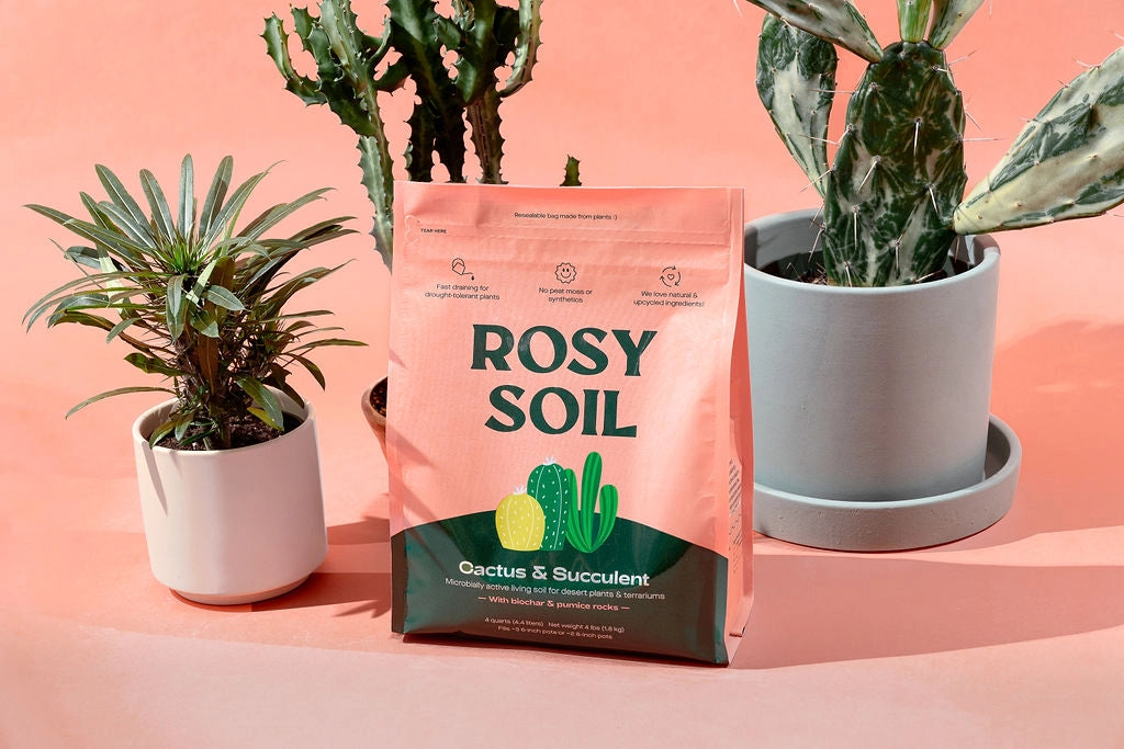 Fast-Draining Cactus & Succulent Potting Mix from Rosy Soil - Sand, Pumice, Mycorrhizae & Biochar for Vibrant Growth & Bigger Blooms