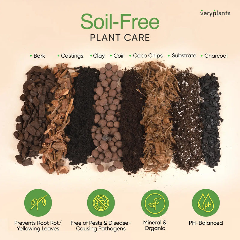 Molly's Aroid Mix - Premium Chunky Soilless Potting Mix for Healthy Roots & Fast Drainage