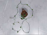 Monstera Dubia (6 Feet)