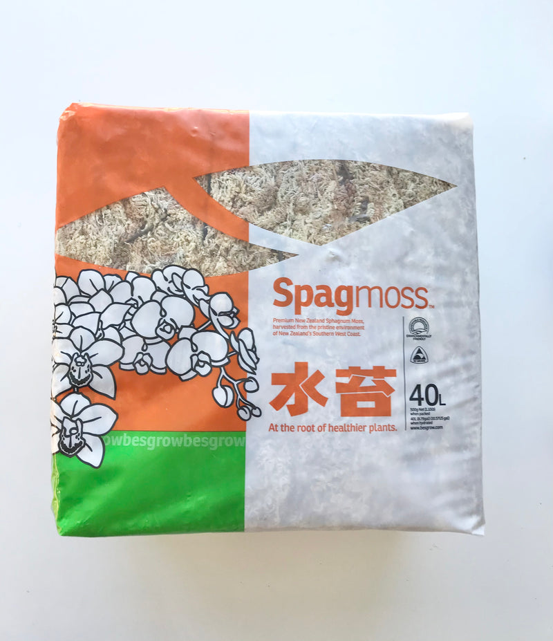 Premium New Zealand Sphagnum Moss 6" Length