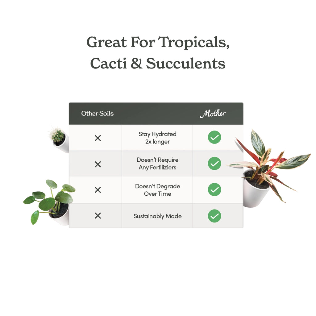 Mother Soil - Probiotic Living Biochar Potting Mix for Tropicals & Aroids