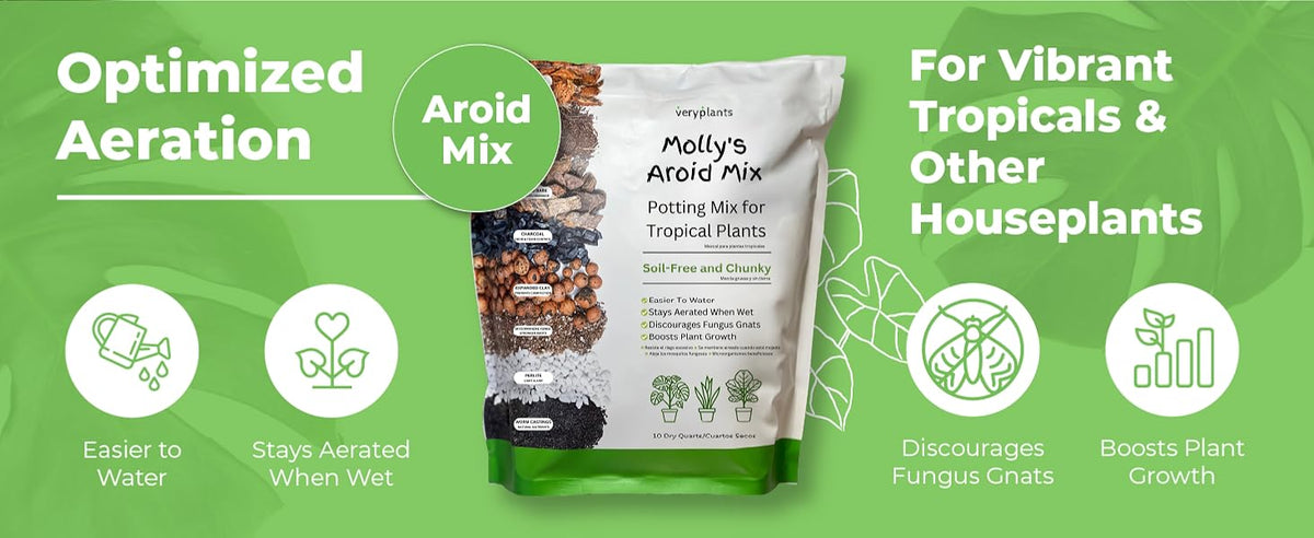 Molly's Aroid Mix - Chunky Soilless Potting Blend from Veryplants