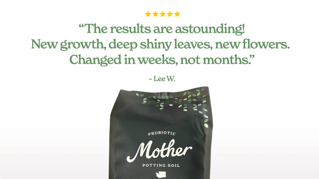 Mother Soil - Probiotic Living Biochar Potting Mix for Tropicals & Aroids