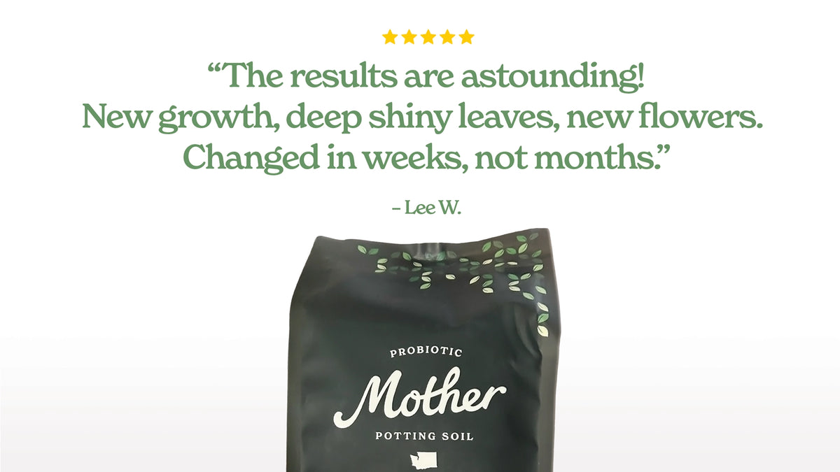 Mother Soil - Probiotic Living Biochar Potting Mix for Tropicals & Aroids