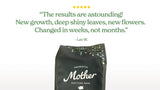 Mother Soil - Probiotic Living Biochar Potting Mix for Tropicals & Aroids