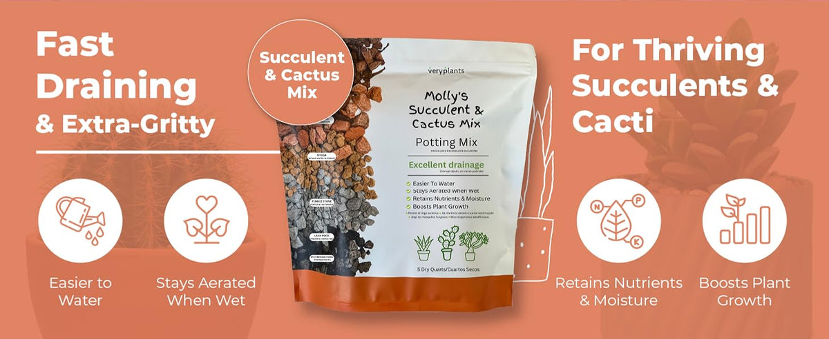 Molly's Succulent & Cactus Mix - Ultra Gritty Blend for Fast Drainage & Airflow