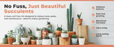 Molly's Succulent & Cactus Mix - Ultra Gritty Blend for Fast Drainage & Airflow