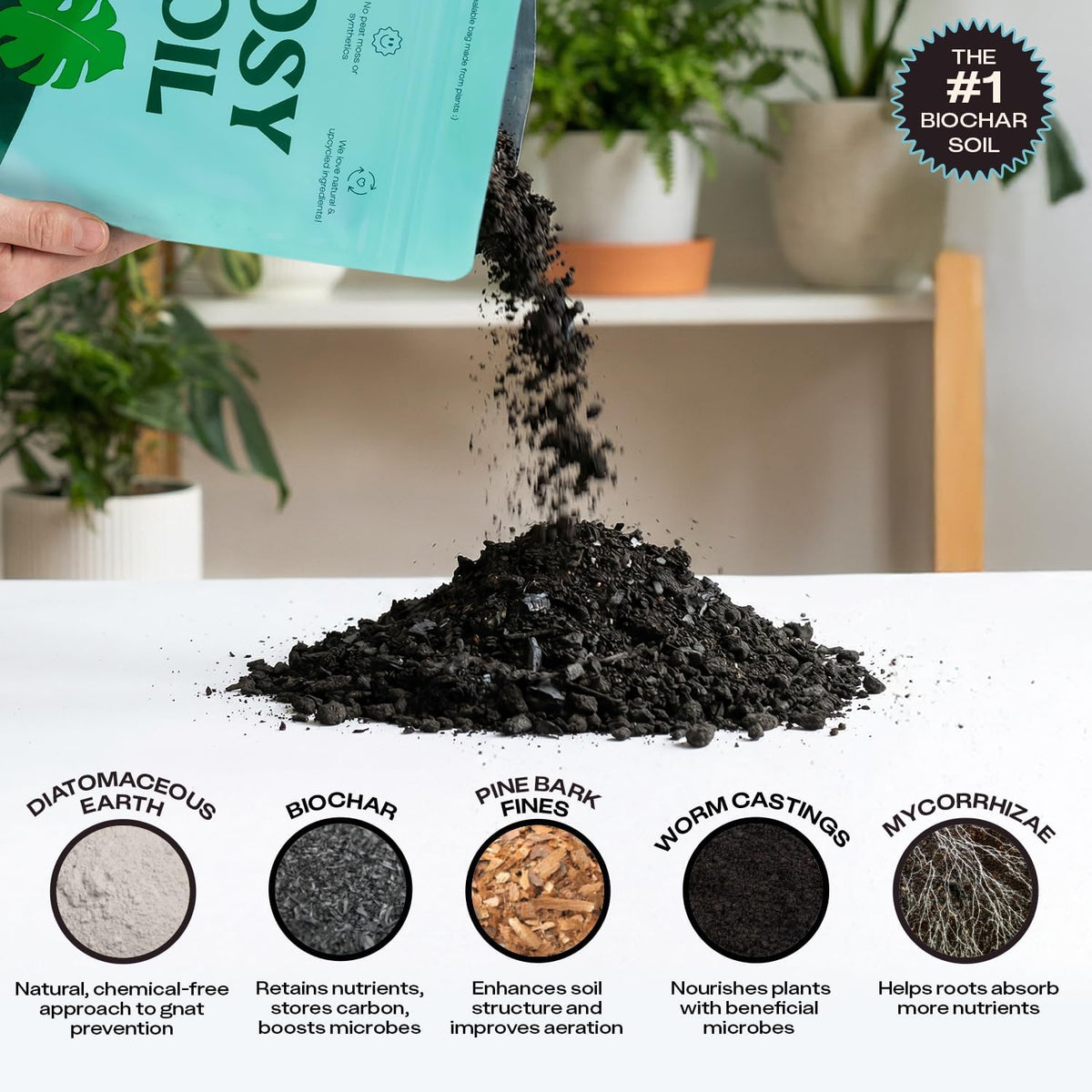 Rosy Soil Houseplant Soil - Organic Peat-Free Biochar Super Soil