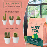 Fast-Draining Cactus & Succulent Potting Mix from Rosy Soil - Sand, Pumice, Mycorrhizae & Biochar for Vibrant Growth & Bigger Blooms