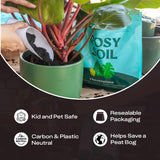 Rosy Soil Houseplant Soil - Organic Peat-Free Biochar Super Soil