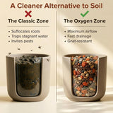 Molly's Succulent & Cactus Mix - Ultra Gritty Blend for Fast Drainage & Airflow