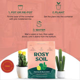 Fast-Draining Cactus & Succulent Potting Mix from Rosy Soil - Sand, Pumice, Mycorrhizae & Biochar for Vibrant Growth & Bigger Blooms