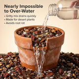 Molly's Succulent & Cactus Mix - Ultra Gritty Blend for Fast Drainage & Airflow