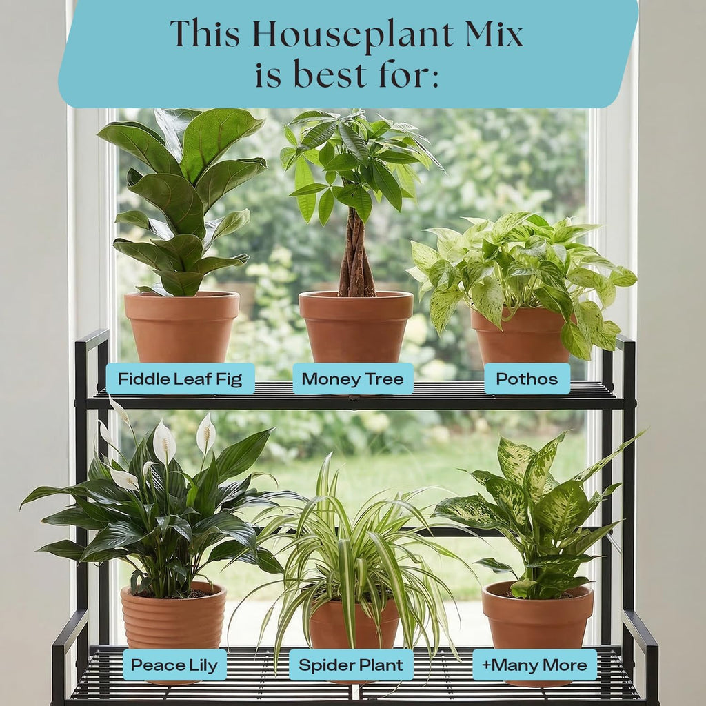 Rosy Soil Houseplant Soil - Organic Peat-Free Biochar Super Soil