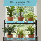 Rosy Soil Houseplant Soil - Organic Peat-Free Biochar Super Soil