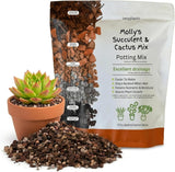 Molly's Succulent & Cactus Mix - Ultra Gritty Blend for Fast Drainage & Airflow
