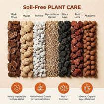Molly's Succulent & Cactus Mix - Ultra Gritty Blend for Fast Drainage & Airflow