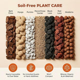 Molly's Succulent & Cactus Mix - Ultra Gritty Blend for Fast Drainage & Airflow