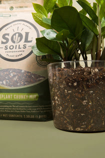Sol Soils Houseplant Chunky Mix - Fast Draining Soilless Tropical Aroid Potting Mix