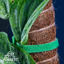 Reusable Plant Tape for Moss Poles & Climbing Plants