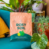 Fast-Draining Cactus & Succulent Potting Mix from Rosy Soil - Sand, Pumice, Mycorrhizae & Biochar for Vibrant Growth & Bigger Blooms