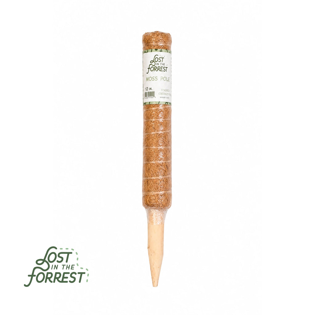 Stackable Coir Moss Pole from Lost in the Forrest