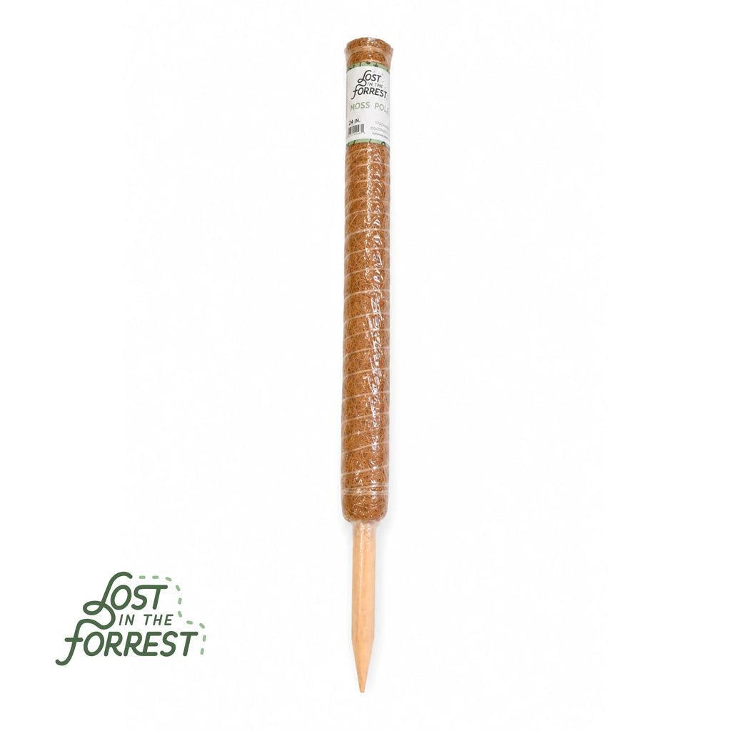 Stackable Coir Moss Pole from Lost in the Forrest