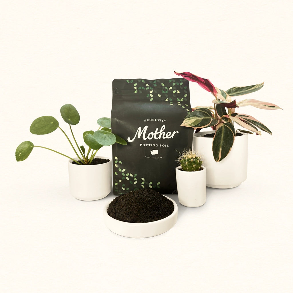 Mother Soil - Probiotic Living Biochar Potting Mix for Tropicals & Aroids
