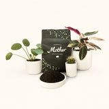 Mother Soil - Probiotic Living Biochar Potting Mix for Tropicals & Aroids