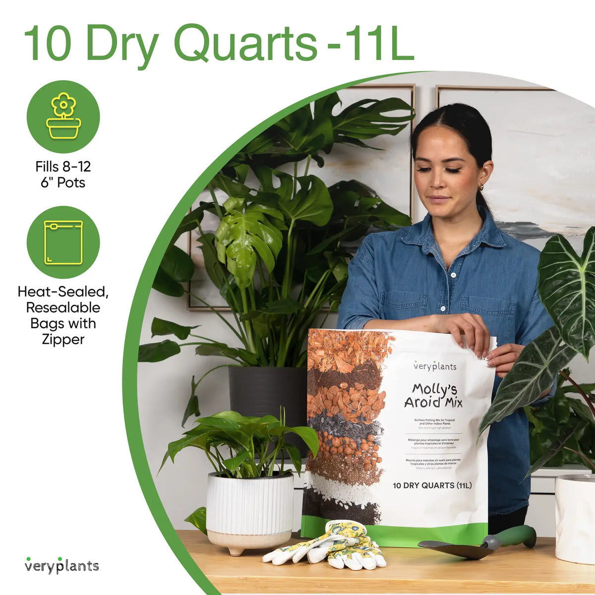 Molly's Aroid Mix - Chunky Soilless Potting Blend from Veryplants