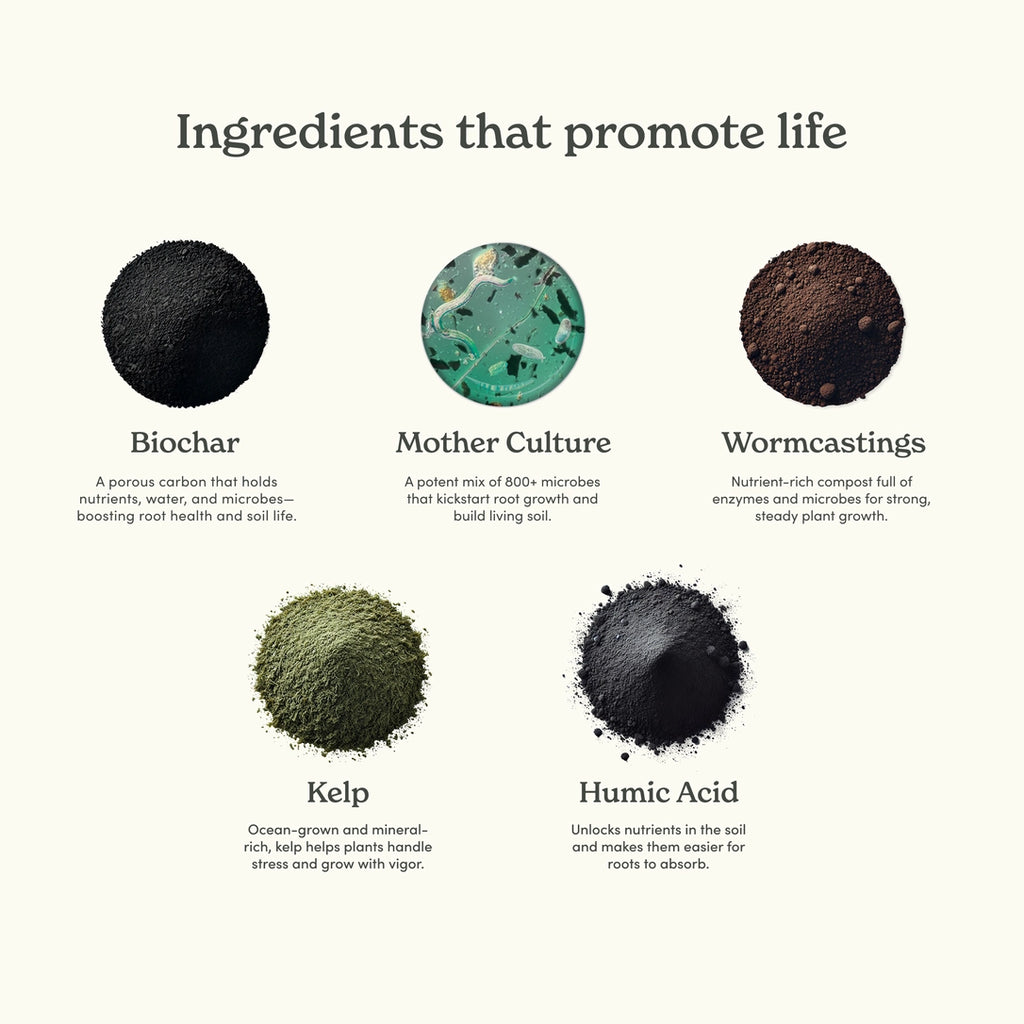 Mother Soil - Probiotic Living Biochar Potting Mix for Tropicals & Aroids