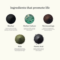 Mother Soil - Probiotic Living Biochar Potting Mix for Tropicals & Aroids