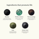 Mother Soil - Probiotic Living Biochar Potting Mix for Tropicals & Aroids
