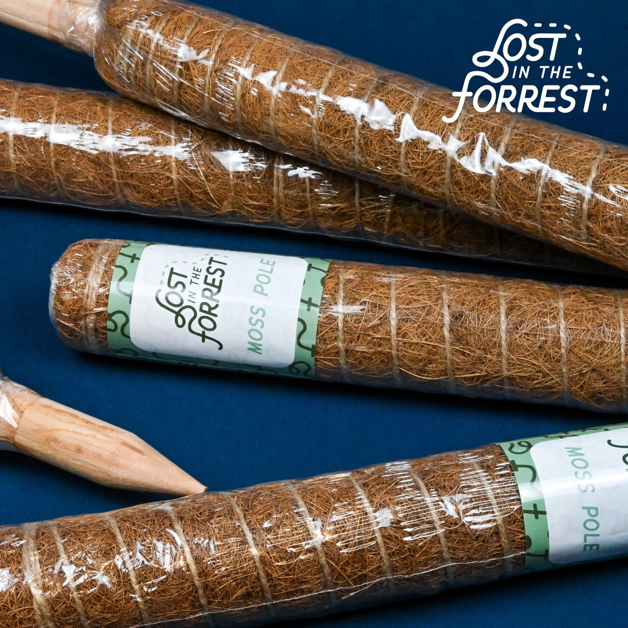 Stackable Coir Moss Pole from Lost in the Forrest Secondary image