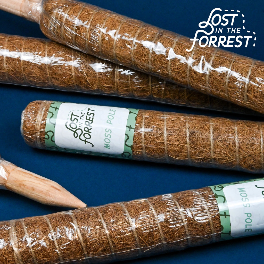Stackable Coir Moss Pole from Lost in the Forrest