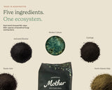 Mother Soil - Probiotic Living Biochar Potting Mix for Tropicals & Aroids